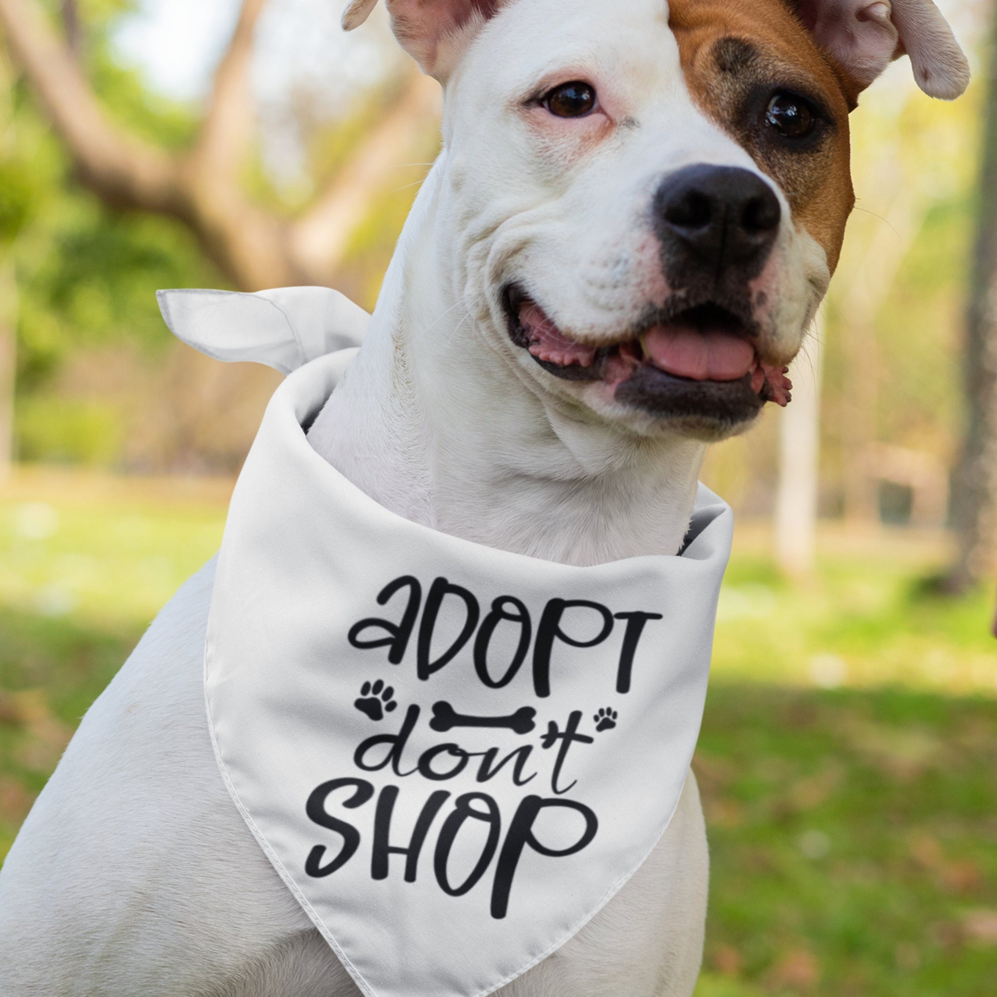 Adopt Don't Shop SVG